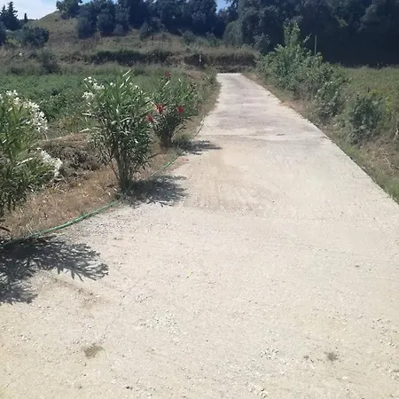 Avgerinos * Vitalades