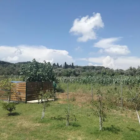 Avgerinos Holiday home Vitalades